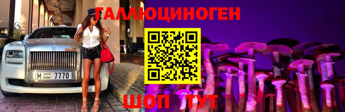 Галлюциногенные грибы прущие грибы  Вход с VPN  Дивногорск  Галлюциногенные грибы прущие грибы 